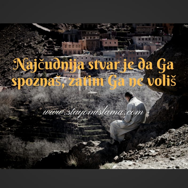 Ibn kajjim ljubavne izreke